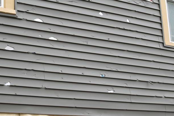 Best Construction Debris Removal  in Winona, MS